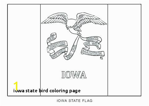 Iowa State Bird Coloring Page Iowa State Bird Coloring Page State Birds Gallery Kids Coloring