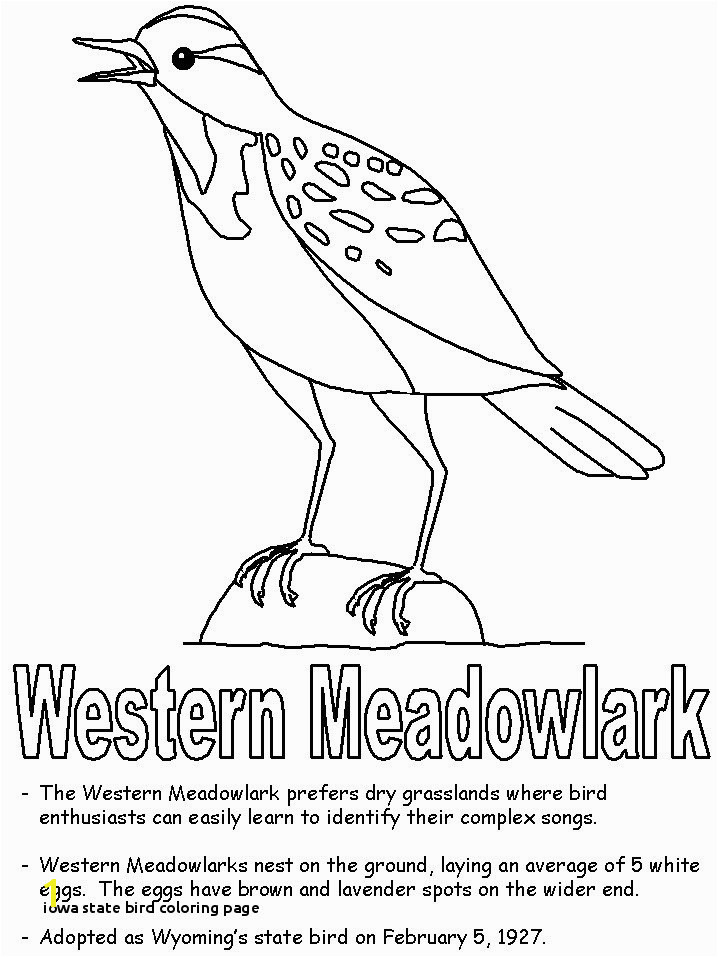 Iowa State Bird Coloring Page Iowa State Bird Coloring Page State Birds Gallery Kids Coloring