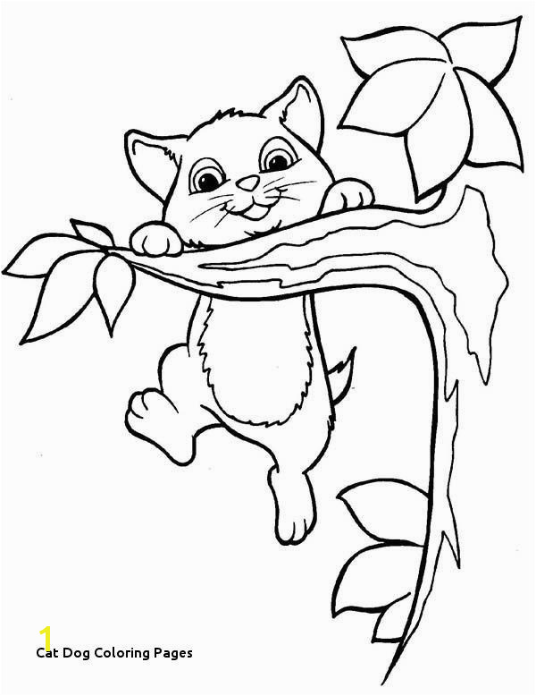 Black Cat Coloring Pages 28 Dog And Cat Coloring Pages halloween