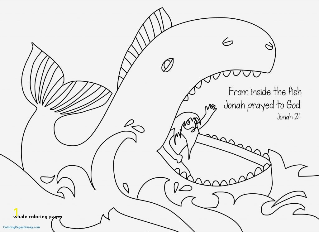 Whale Coloring Pages for Kids Whale Coloring Pages Columbus Designer