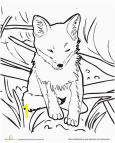 Baby Fox Coloring Page