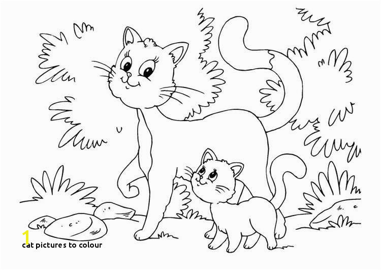 Cat to Colour Kitten Color Pages Elegant Kitty Cat Coloring Pages Unique Best Od