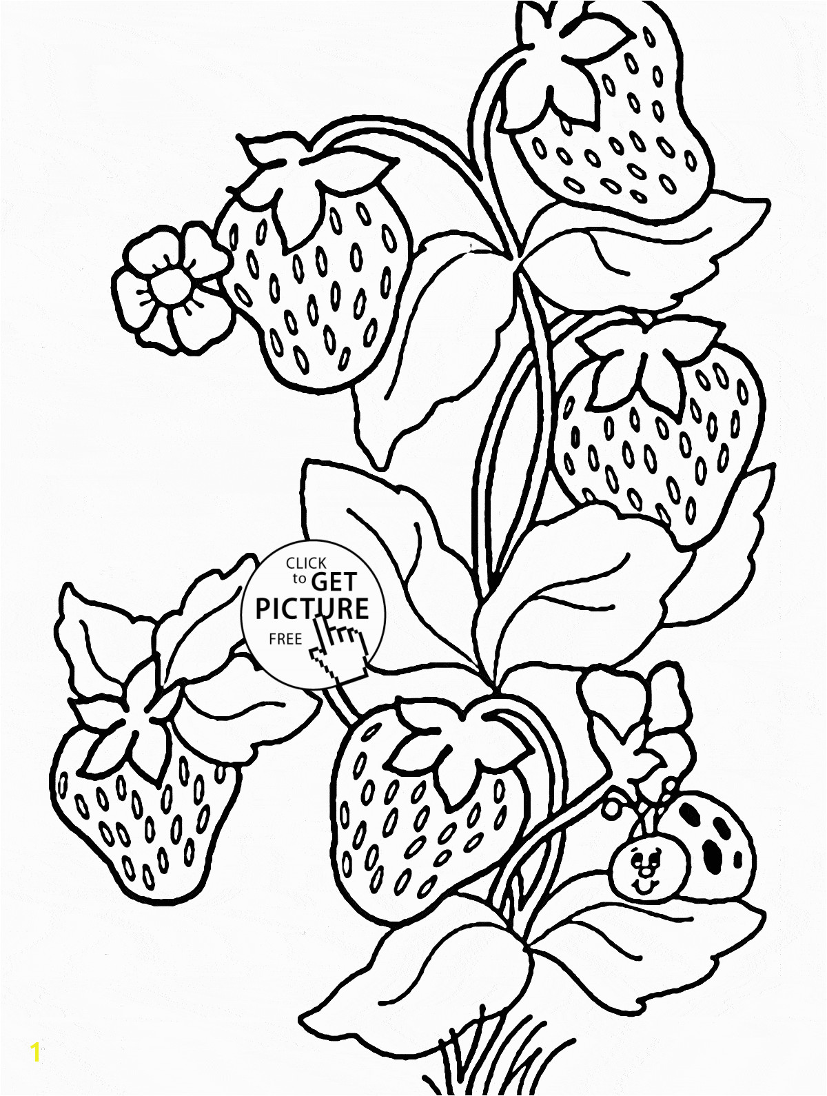 Ladybug And Strawberries coloring page for kids fruits coloring pages printables free Wuppsy