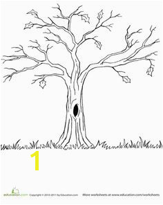 Bare Tree Coloring Page