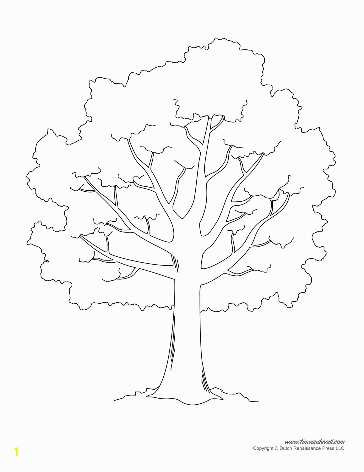 Leafless Tree Coloring Page Tree Printable Template Elitasushi