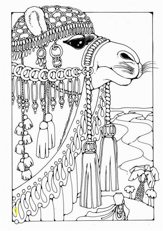 free Coloring page Camel