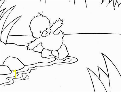 Little Quack Animal Coloring PagesSchool