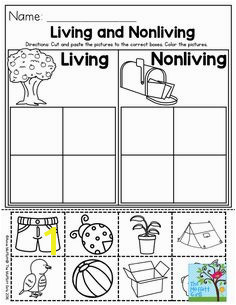 Living and Nonliving Things Coloring Pages 502 Best Preschool Images On Pinterest In 2018