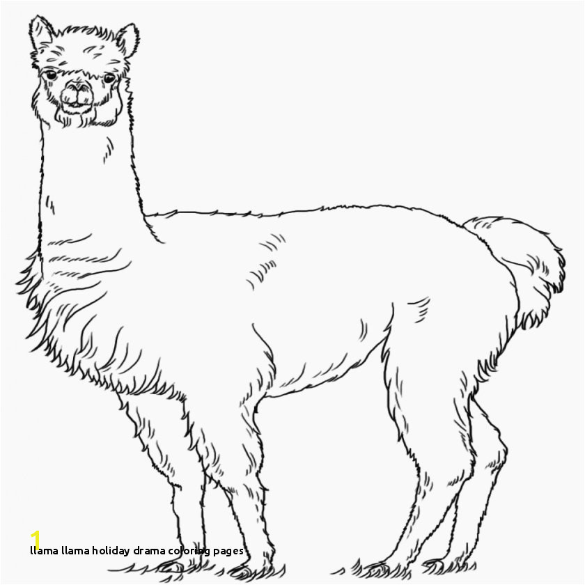 21 Llama Llama Holiday Drama Coloring Pages