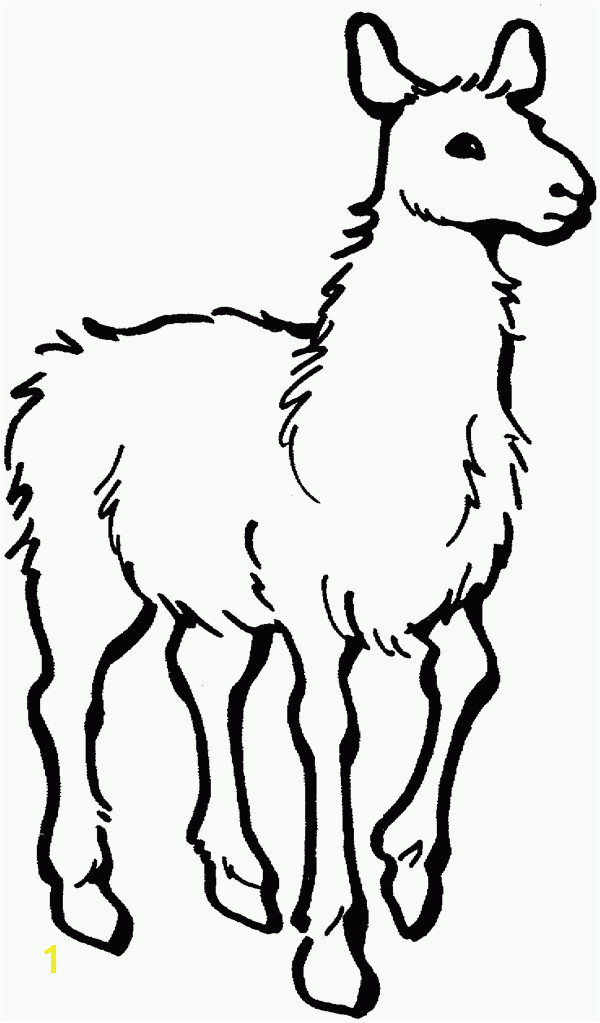 Llama Free Printable Coloring Pages