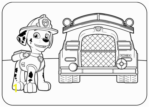 More Fun Coloring pages