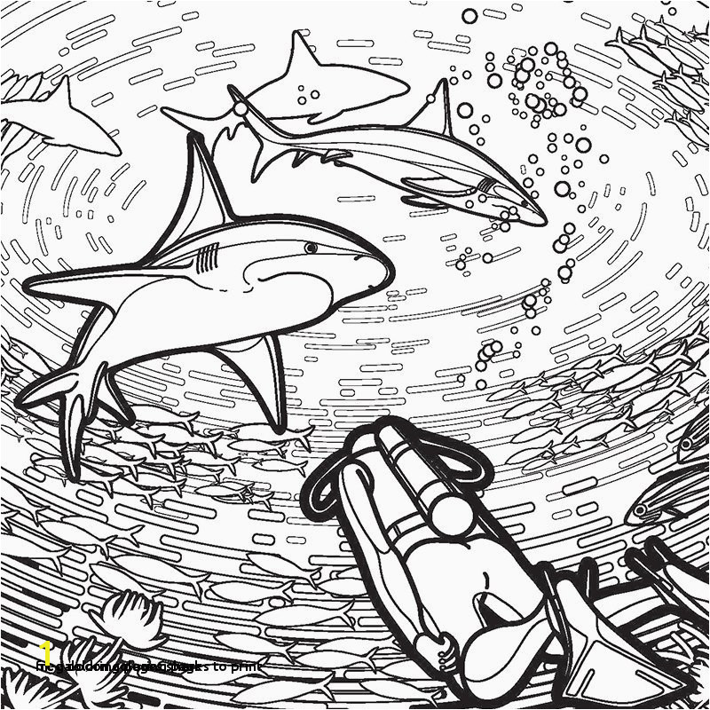 Free Coloring Pages Shark 30 Megalodon Coloring Pages to Print