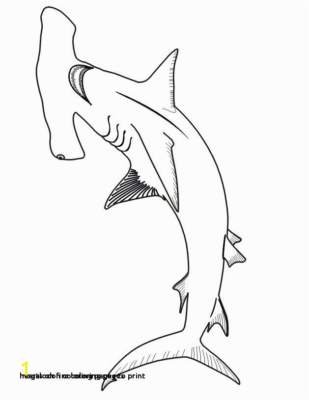 Hearts Fire Coloring Pages 30 Megalodon Coloring Pages to Print