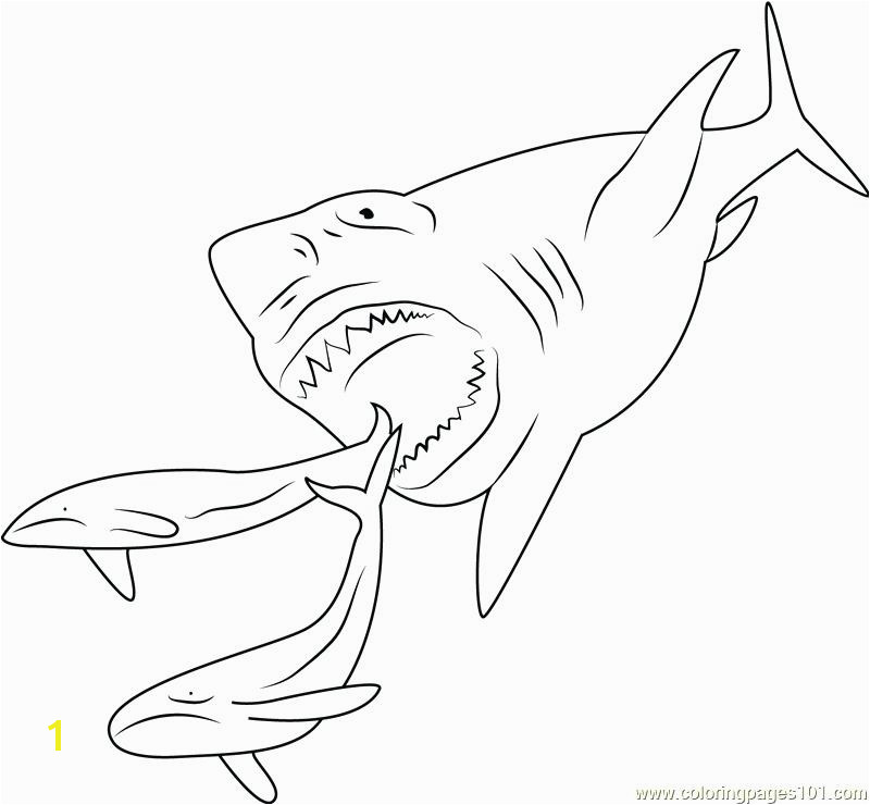 Megalodon Coloring Pages to Print Megalodon Coloring Pages Coloring Pages Sharks Coloring Pages