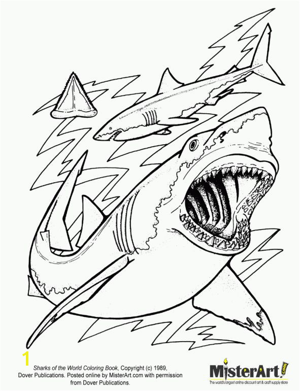 Megalodon Coloring Pages to Print Sharks Coloring Page Cartoon Pinterest