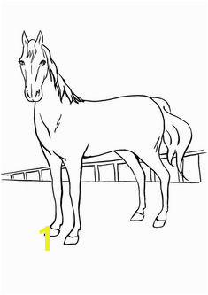 print coloring image Horse Coloring PagesPrintable
