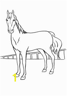 Momjunction Printable Horse Coloring Pages 15 Best Horse Pictures for Randy Images