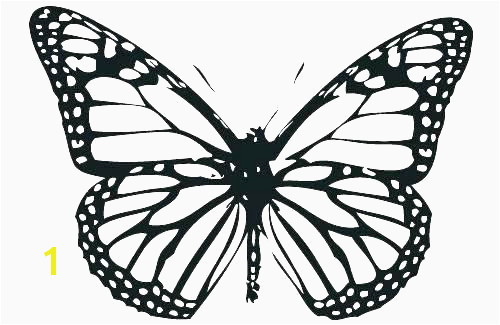 Monarch butterfly Coloring Page Beautiful Image Monarch butterfly Coloring Pages Lovely Coloring Page Monarch