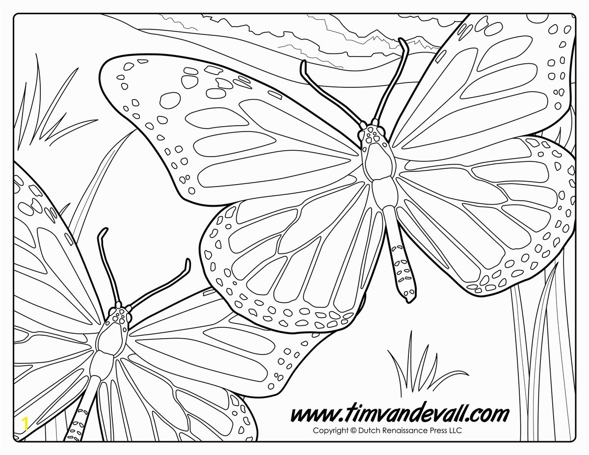 monarch butterfly coloring page