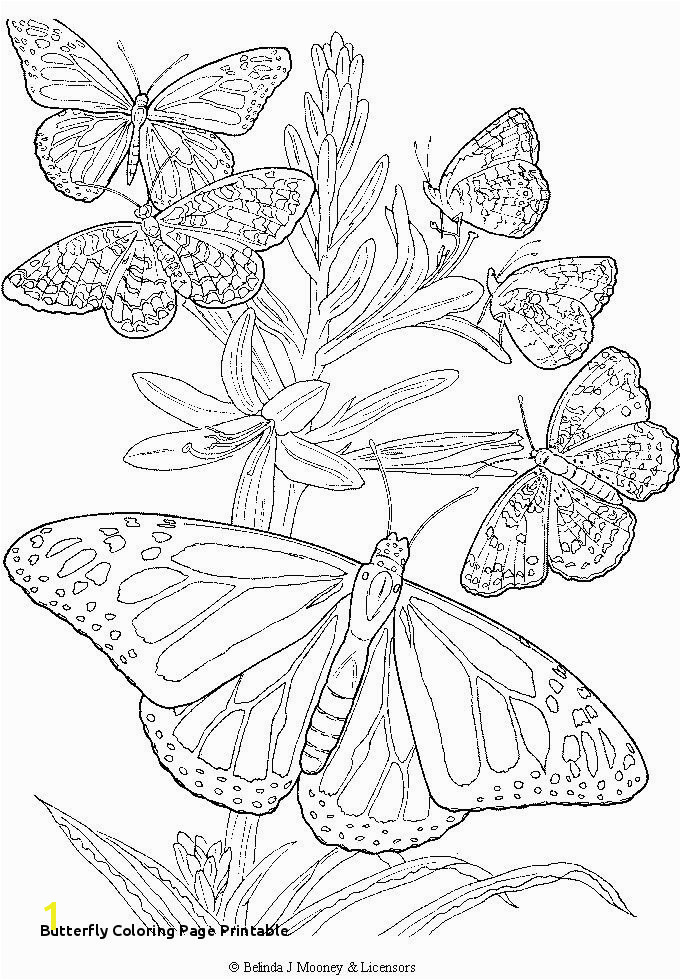 Monarch Butterfly Coloring Pages Cool And Opulent 28 Butterfly Coloring Page Printable