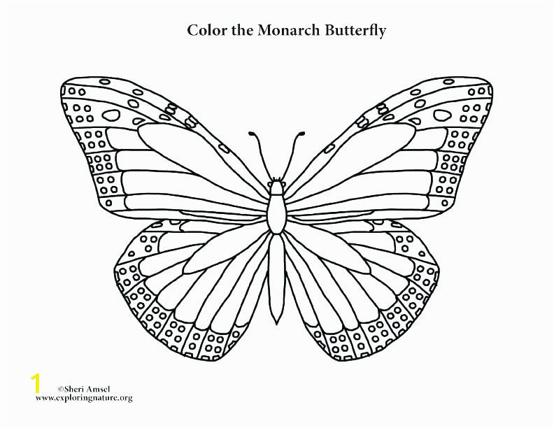 Monarch butterfly Coloring Pages Picture butterfly to Color Simple butterfly Coloring Pages butterfly Color