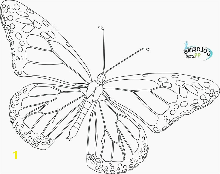 Monarch Butterfly Coloring Pages Neoteric Design Free Butterfly Coloring Pages Fresh Printable Coloring Pages For