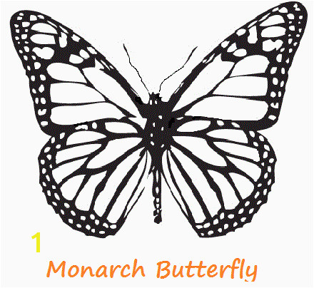 Monarch butterfly Coloring Sheet New Monarch Coloring Page – Nlli Coloring