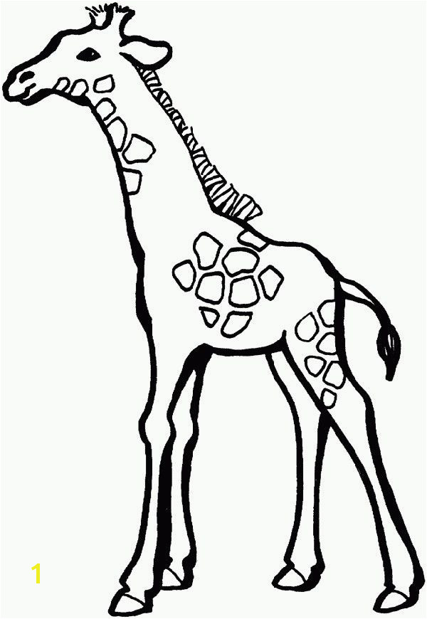 9a244f177fc7b119dd44f805fa57fb57 animal coloring pages coloring pages for kids