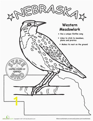 First Grade Animals Life Science Worksheets Nebraska State Bird