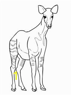 Okapi coloring page Free Printable Coloring Pages Printable Crafts Okapi Homeschool Kindergarten