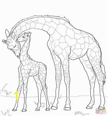 Modest Okapi Coloring Page Amazing Giraffid Printable Pict Styles And