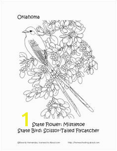 Oklahoma State Bird and Flower Coloring Page Search And Find Flower Coloring Pages Word