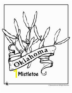 State Flower Coloring Pages Oklahoma State Flower Coloring Page – Classroom Jr Flower Coloring Pages