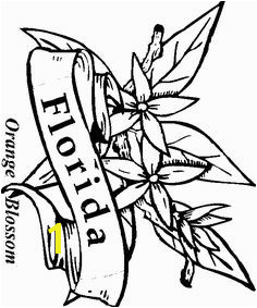 images of florida state flowers coloring pages Google Search Page Usa Coloring Pages For