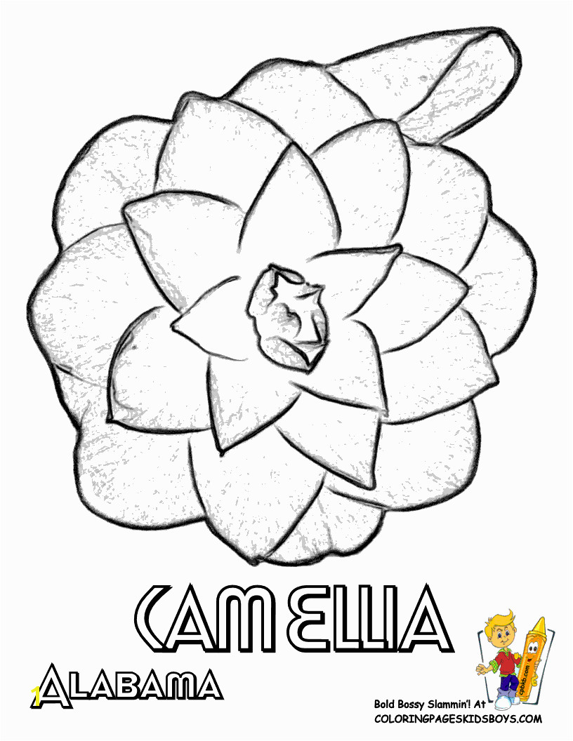 flower Page Printable Coloring Sheets Flower Coloring Sheets States Alabama Georgia Flower