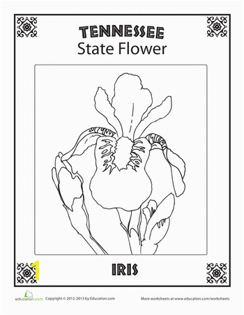 Oklahoma State Flower Coloring Page Oklahoma State Flower School social Stu S