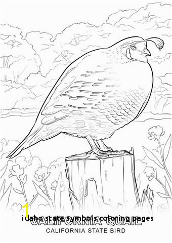 Idaho State Symbols Coloring Pages Nevada State Seal Coloring Page State Seal Coloring Page Coloring