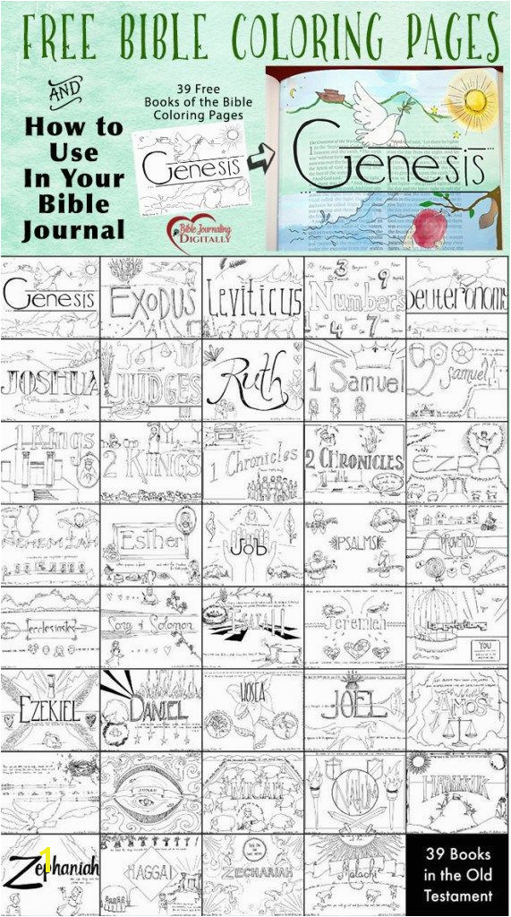 FREE Books of the Bible Coloring Pages
