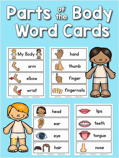 Free Parts of the Body Picture Word Cards for Preschool and Kindergarten