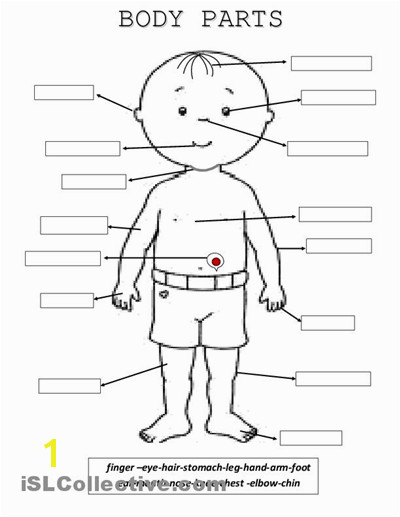 Body Parts worksheet Free ESL printable worksheets made by teachers