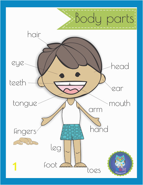 Body Parts Poster Classroom Freebie