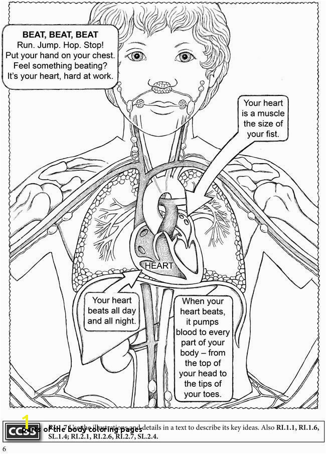 Places to Visit Parts the Body Coloring Pages Human Body Coloring Book Anatomy Pinterest Body Coloring Pages