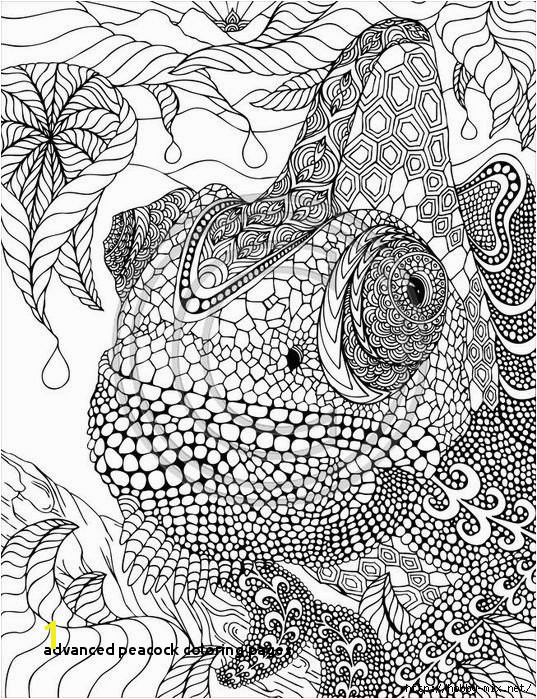 Advanced Peacock Coloring Pages Advanced Peacock Coloring Pages New Printable Cds 0d – Fun Time