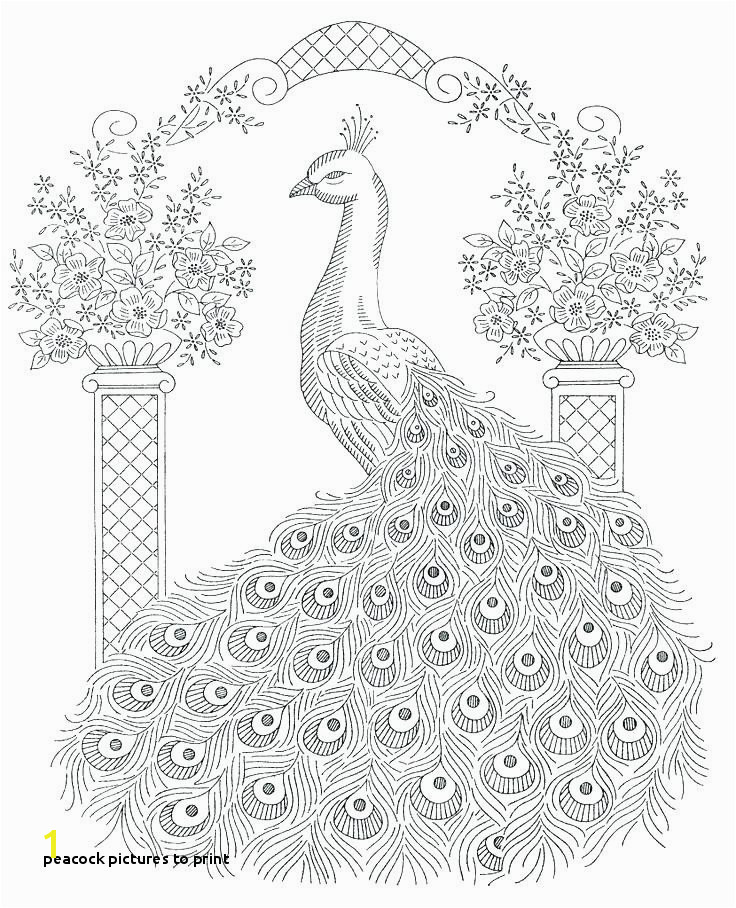 Peacock to Print Peacock Feather Coloring Page New Coloring Pages Peacock Coloring