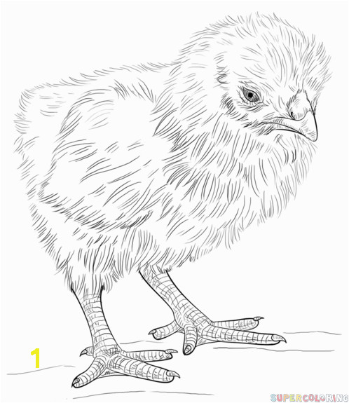 How to draw a baby chick step by step Drawing tutorials for kids and beginners