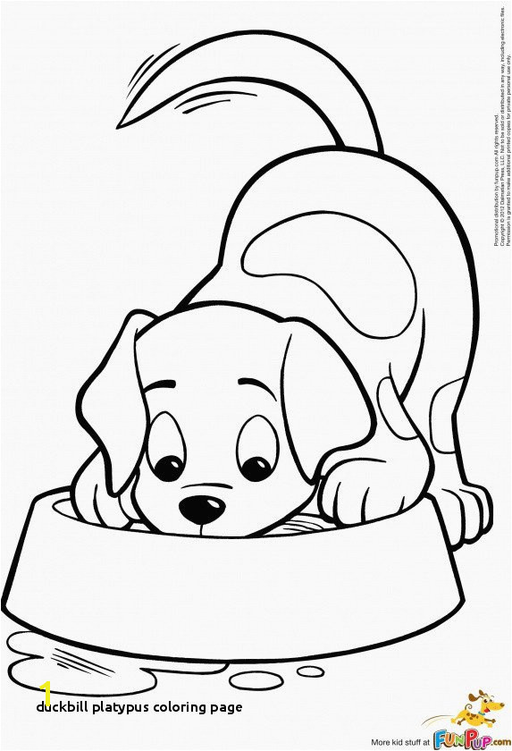 19 Luxury Platypus Coloring Page