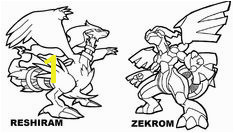 Pokemon Coloring Pages Zekrom – From the thousand photographs on the internet with regards to pokemon coloring pages zekrom we choices the best libraries