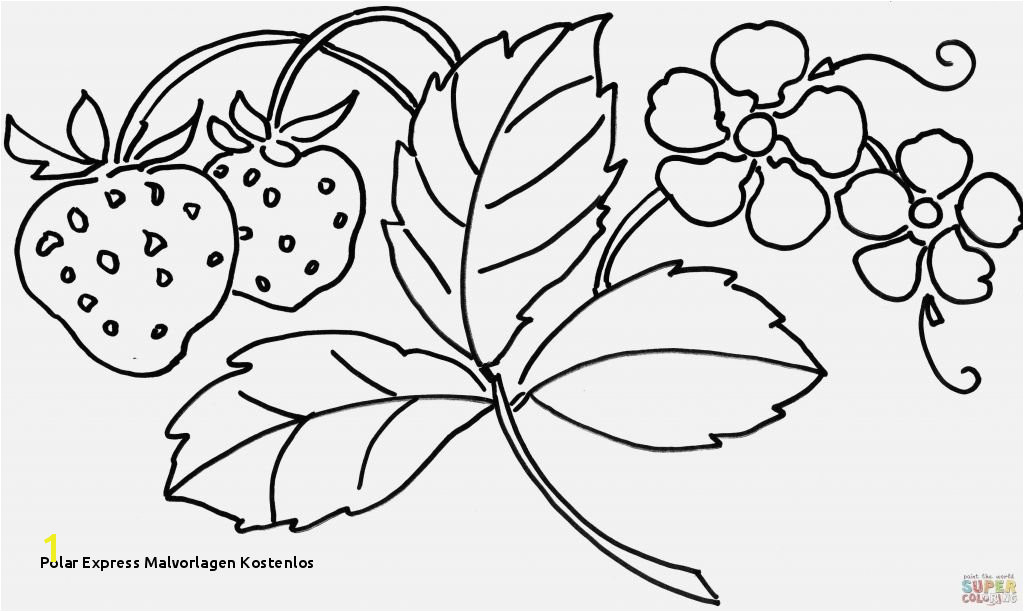 Polar Express Malvorlagen Kostenlos Coloring Page