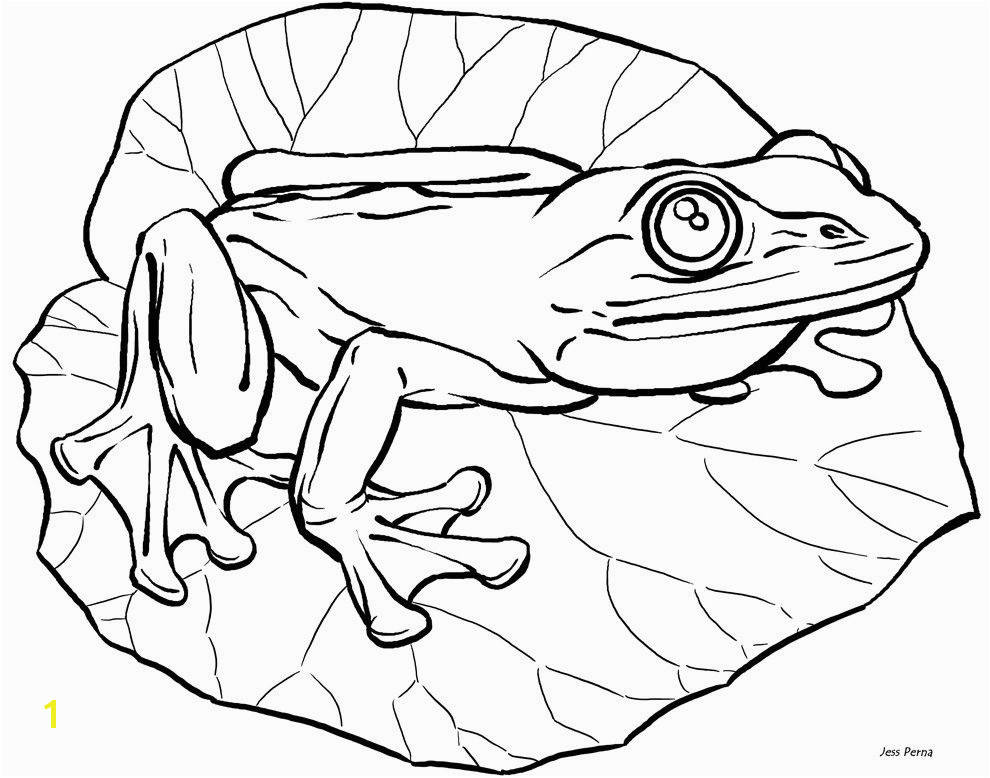 obama family coloring pages unique frog coloring pages fresh frog colouring 0d free coloring pages of