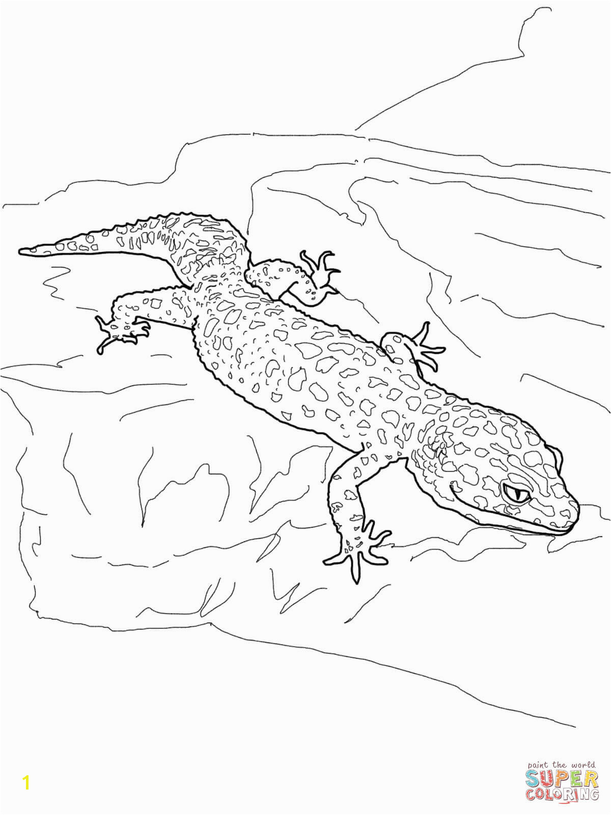 Alert Famous Newt Coloring Pages Leopard Gecko